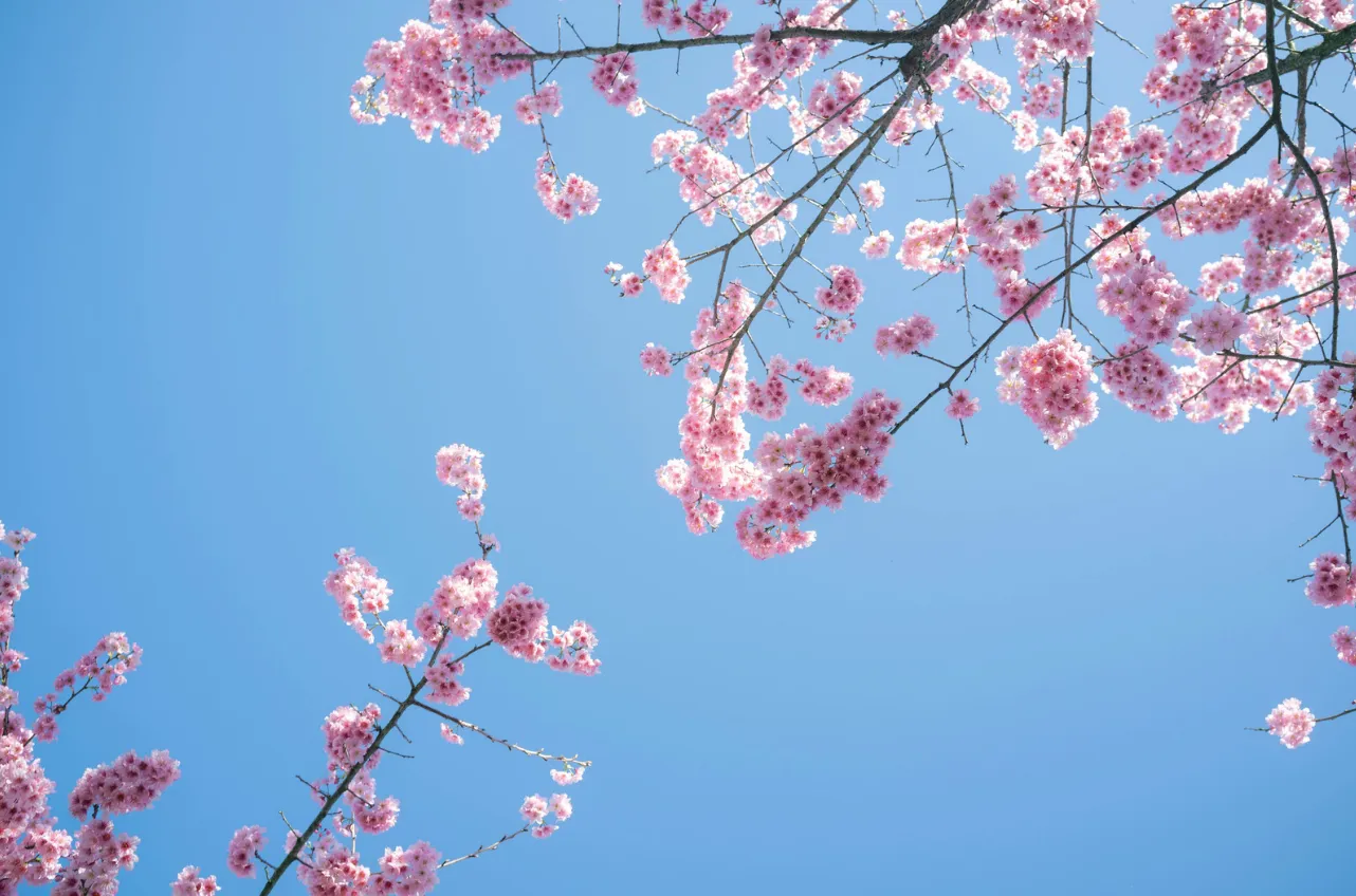 点数のその先にあるもの ― 合格の裏側にある「続ける力」と「挑戦する力」 ―